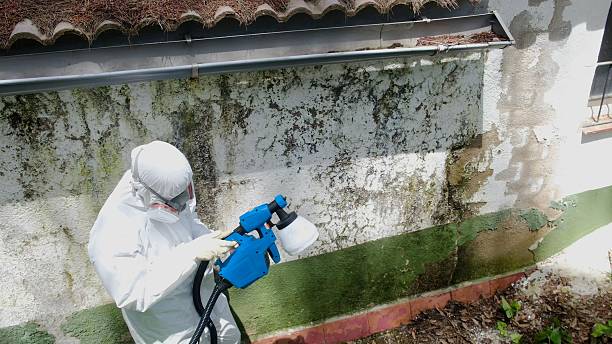 Top rated local Mold Remediation specialists in Union Bridge, MD